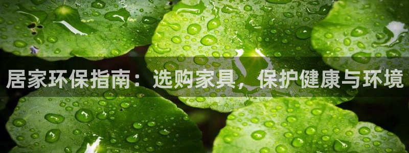 杏耀代理连接