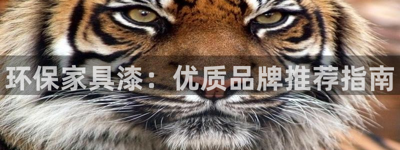杏耀平台登录网址是什么