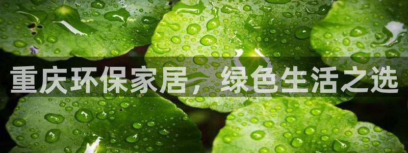 杏耀平台注册代理