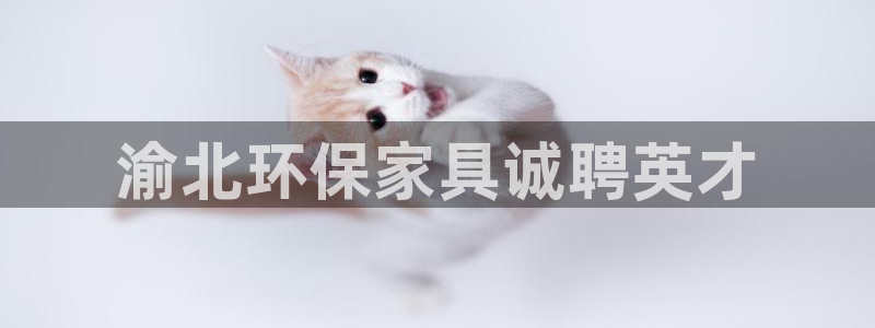 杏耀代理连接