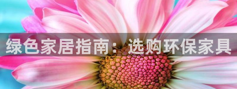 杏耀注册登录
