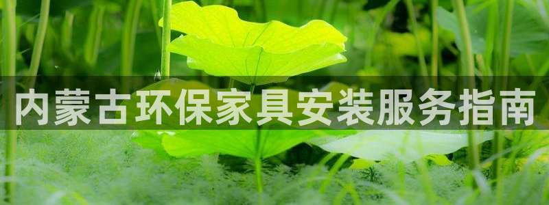 杏耀官网app