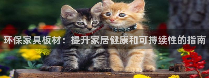 杏耀官网主管