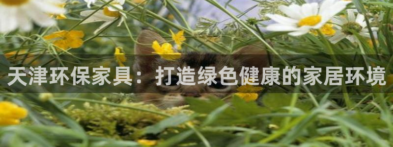 杏耀登陆电脑线路测速