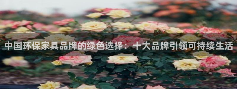 杏耀平台注册会员