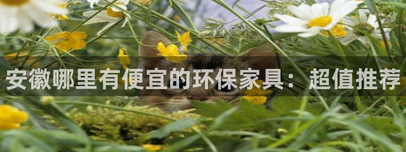 杏耀平台线路测速