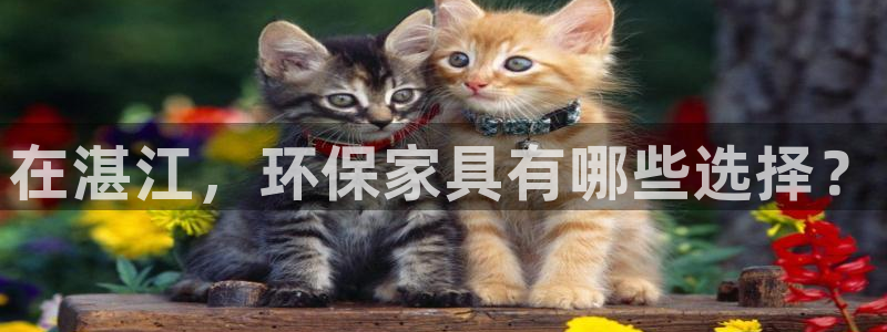杏耀平台线路