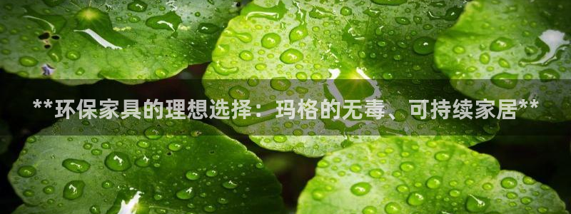 杏耀总代