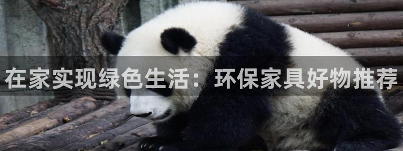 杏耀手机网页登录入口