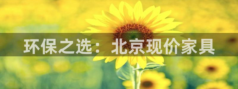 杏耀总代