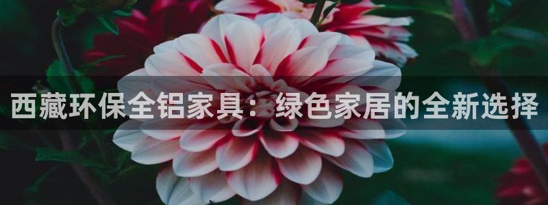 杏耀平台代理怎么赚钱的