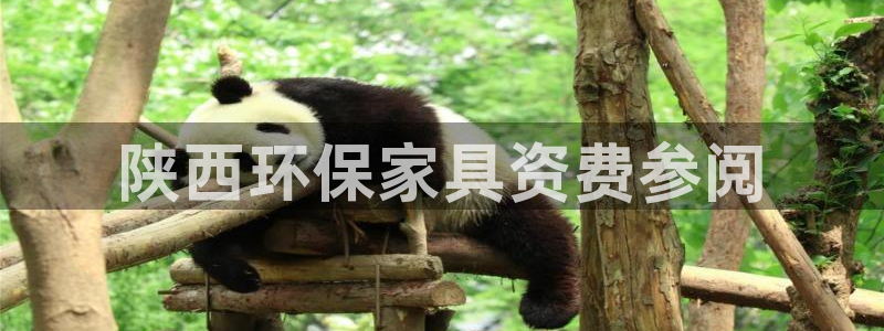 杏耀平台在哪里