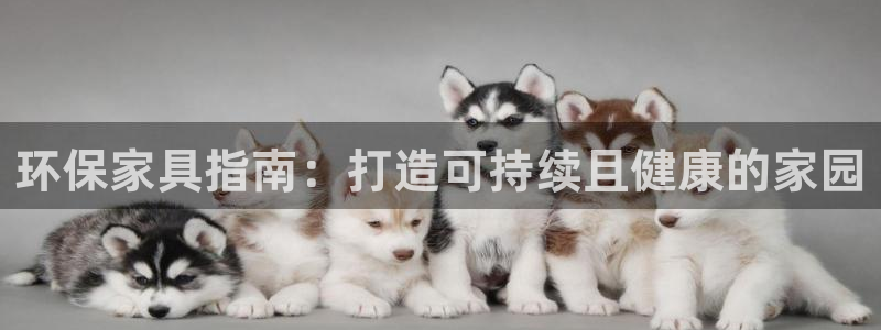 杏耀app怎样申请