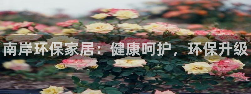 杏耀平台测