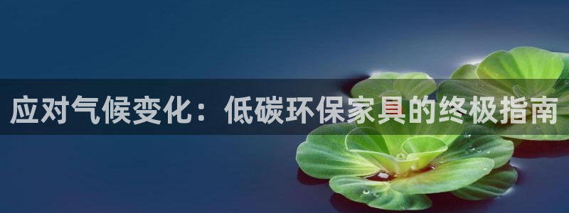 杏耀平台招商的流程