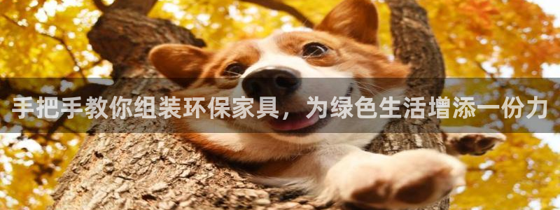 杏耀平台网页版