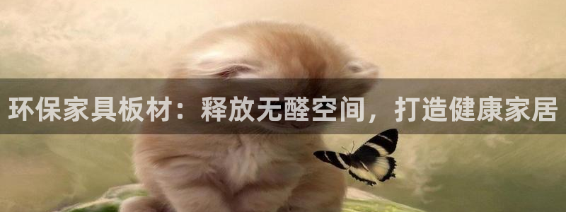 杏耀主管qq