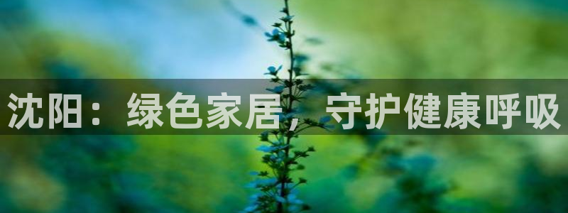 杏耀平台官方登陆