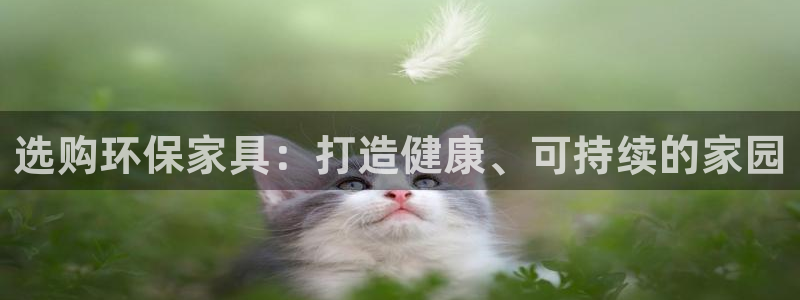 杏耀线路5检测：选购环保家具：打造健康、可持续的家园