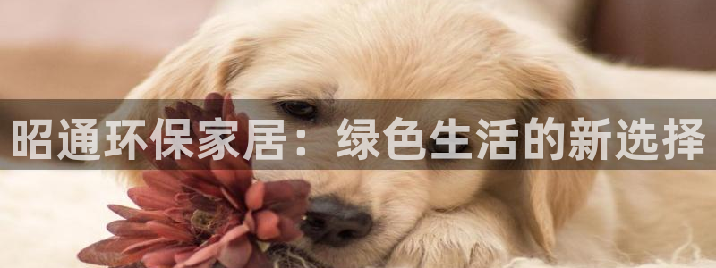 杏耀手机客户端