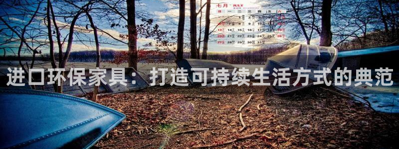 杏耀平台怎么样?：进口环保家具：打造可持续生活方式的典范