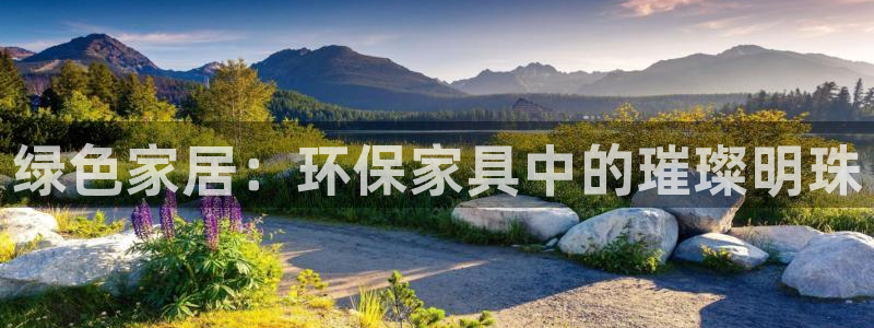 杏耀官方注册中心：绿色家居：环保家具中的璀璨明珠