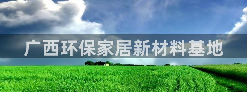 杏耀测速登录地址