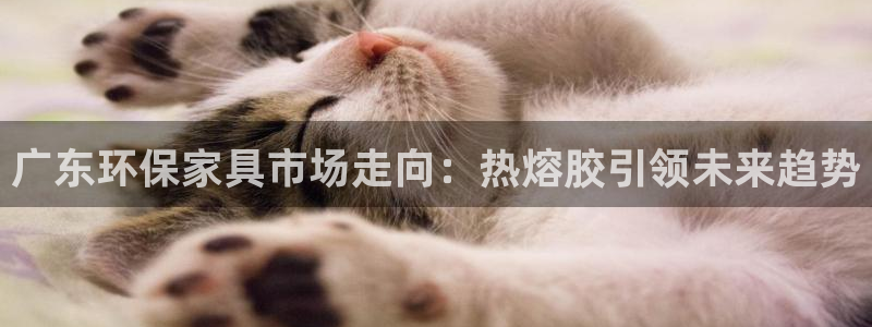 杏耀平台靠谱吗：广东环保家具市场走向：热熔胶引领未来趋势