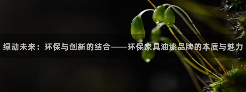 杏耀平台官网登录：绿动未来：环保与创新的结合——环保家具油漆