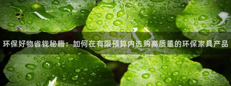 杏耀官网游戏：环保好物省钱秘籍：如何在有限预算内选购高质量的