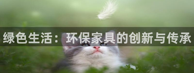 杏耀登陆电脑线路测速