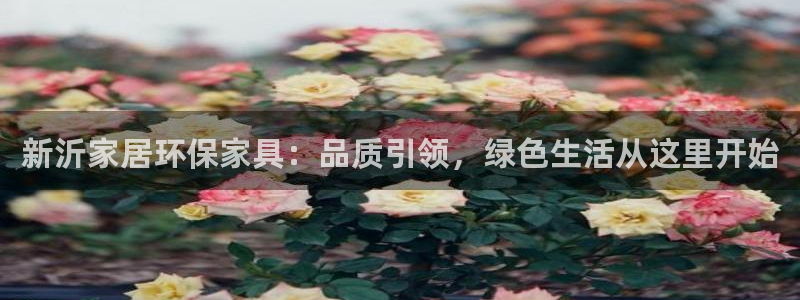杏耀官网注册