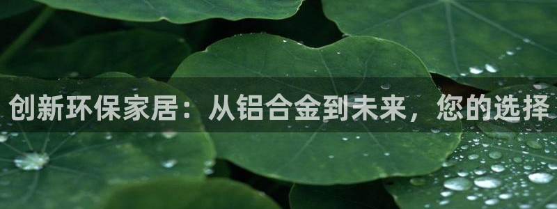 杏耀平台注册会员：创新环保家居：从铝合金到未来，您的选择