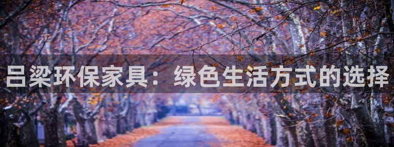 杏耀客户端登录：吕梁环保家具：绿色生活方式的选择