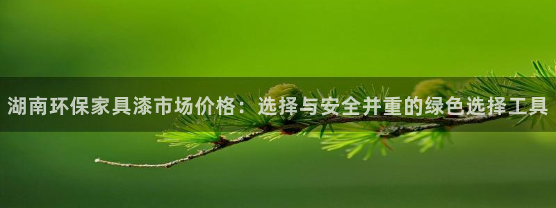 杏耀管网登录：湖南环保家具漆市场价格：选择与安全并重的绿色选