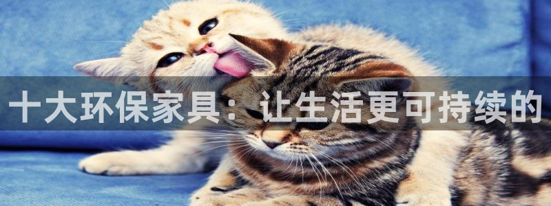 杏耀平台注册代理：十大环保家具：让生活更可持续的