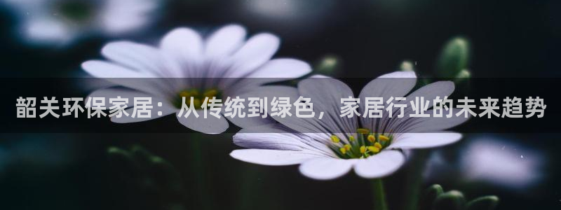杏耀平台怎么样
