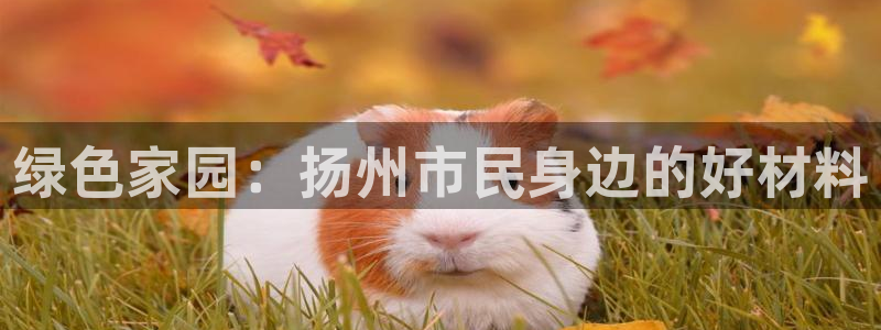 杏耀平台登录网站：绿色家园：扬州市民身边的好材料