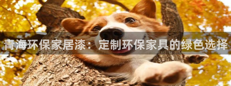杏耀3注册：青海环保家居漆：定制环保家具的绿色选择
