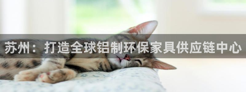 杏耀代理主管qq