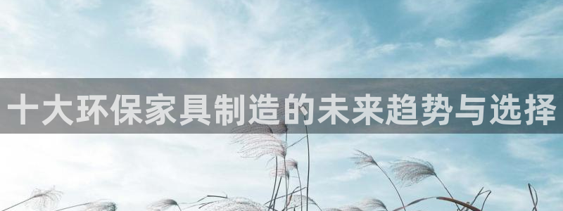 杏耀官网登录：十大环保家具制造的未来趋势与选择