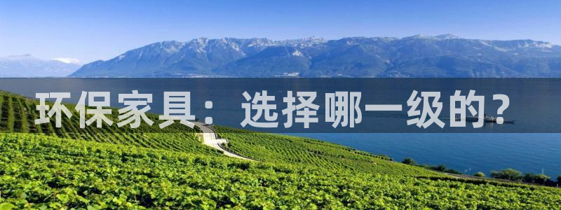 杏耀平台代理注册多少钱