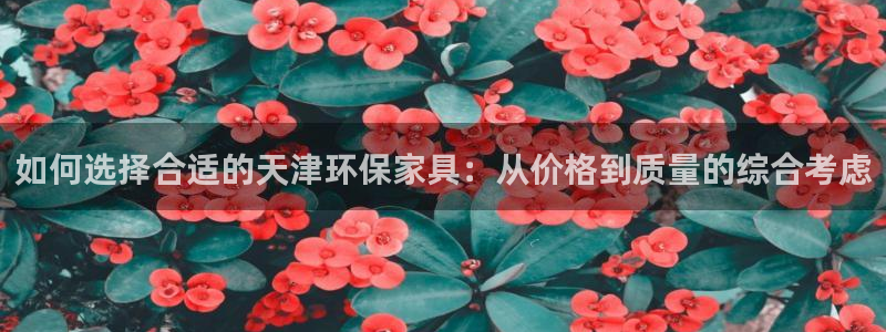 杏耀登陆测速：如何选择合适的天津环保家具：从价格到质量的综合