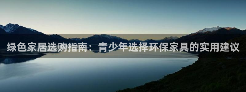 杏耀测速网址电脑版：绿色家居选购指南：青少年选择环保家具的实
