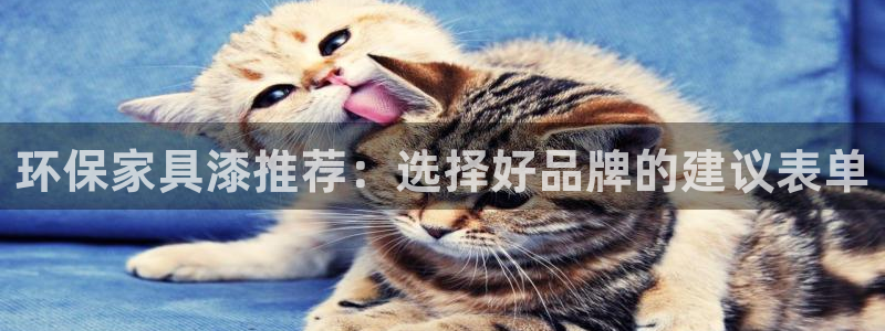 杏耀平台下载：环保家具漆推荐：选择好品牌的建议表单