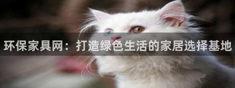 杏耀平台代理登录网址：环保家具网：打造绿色生活的家居选择基地