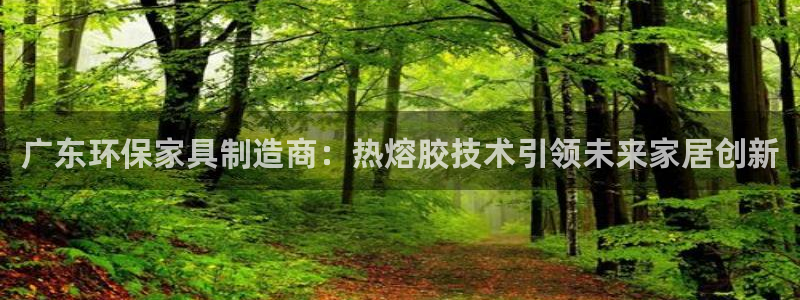 杏耀平台注册会员：广东环保家具制造商：热熔胶技术引领未来家居