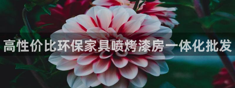 杏耀注册链接：高性价比环保家具喷烤漆房一体化批发