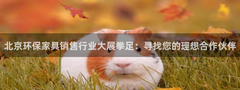 杏耀官网网站：北京环保家具销售行业大展拳足：寻找您的理想合作