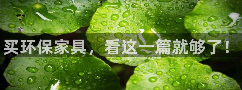 杏耀平台测速登录